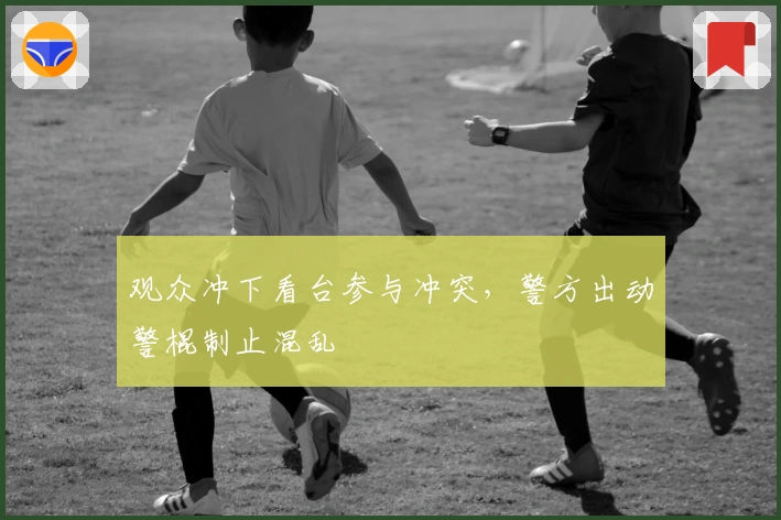 观众冲下看台参与冲突，警方出动警棍制止混乱
