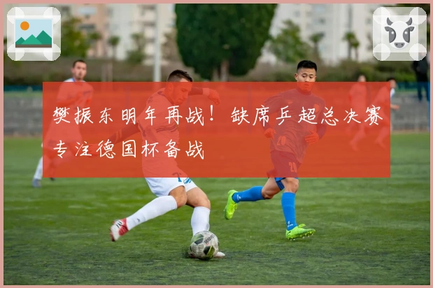 樊振东明年再战！缺席乒超总决赛专注德国杯备战