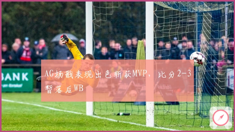AG杨戬表现出色斩获MVP，比分2-3暂落后WB