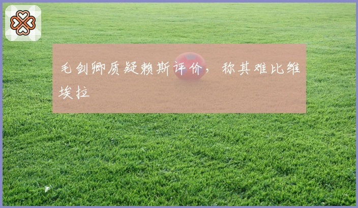 毛剑卿质疑赖斯评价，称其难比维埃拉